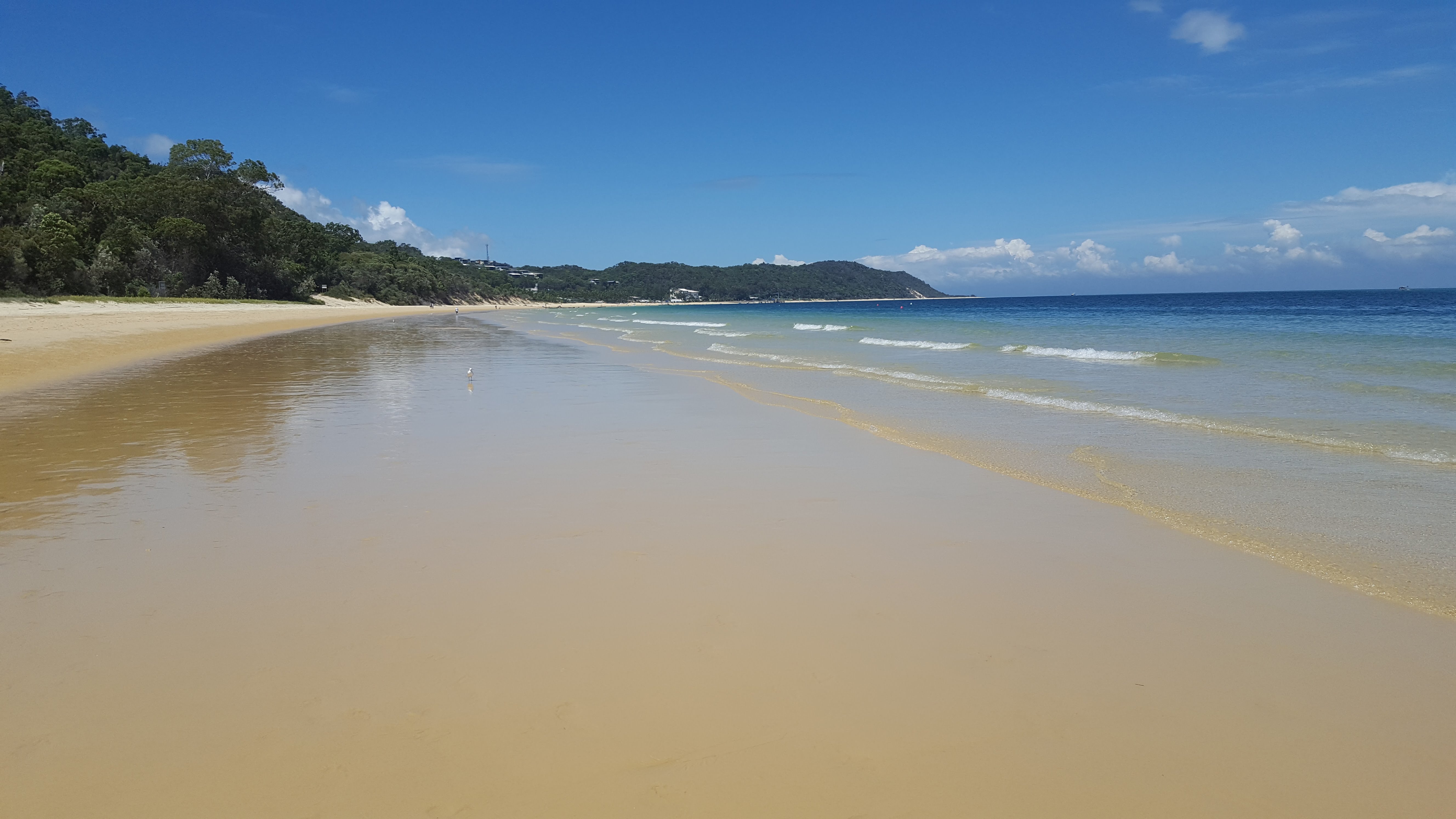Paradis australien Paradis australien