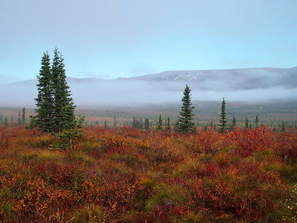 Les couleurs de l'automne en Alaska