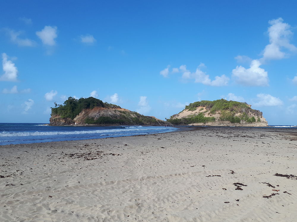 La Martinique, l'île aux fleurs