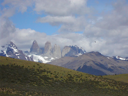 Vue Sur Les 3 Tours Et Un Condor : Parc National Torres Del Paine ...