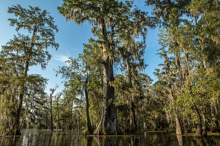 Louisiane, voyage en pays cajun