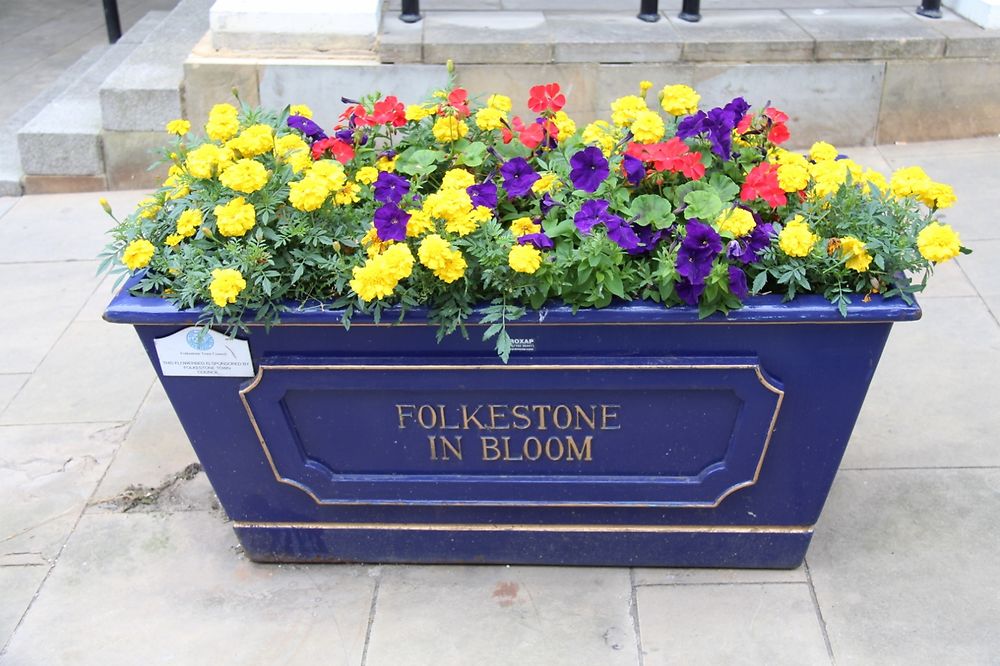 Folkestone en fleurs