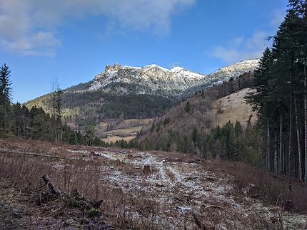 Forêt et massifs