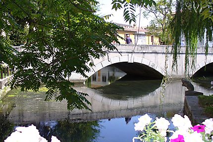 Pont fleuri à Portogruaro