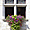 Aix les Bains - Hôtel de Ville - Fenêtre jardin