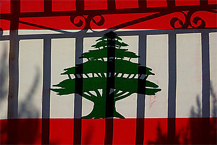 Liban, les Cèdres en Prison