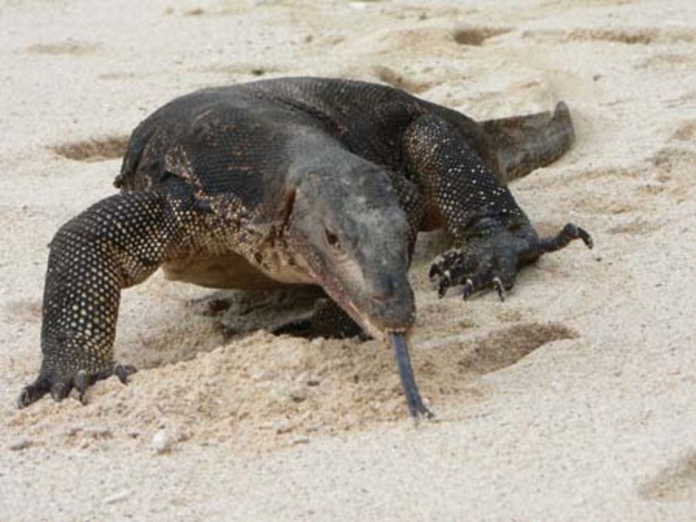 Rencontre sur la plage