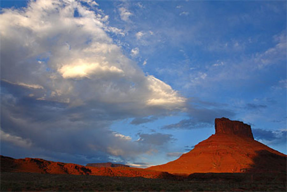 Fisher towers