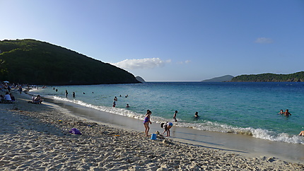 Coki Point Beach