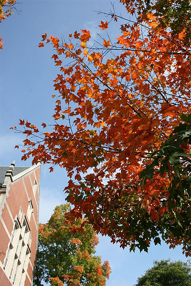 L'automne dans le Maine L'automne dans le Maine