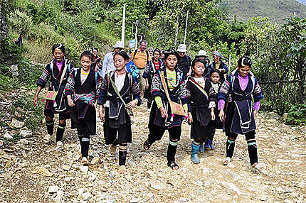 Des hmongs noirs se baladent