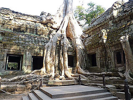Temple de Ta Prhom