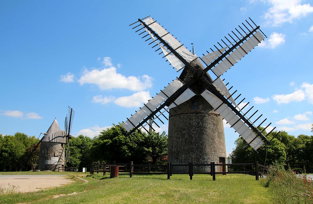 Moulins vendéens