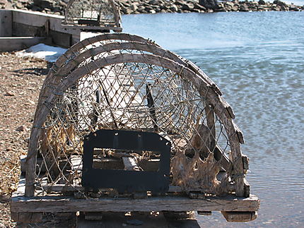 Cage à homard à Caplan