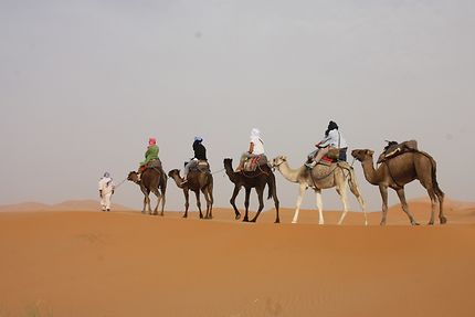 Excursion au désert 