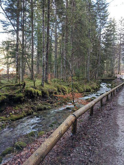 Le long de la barrière