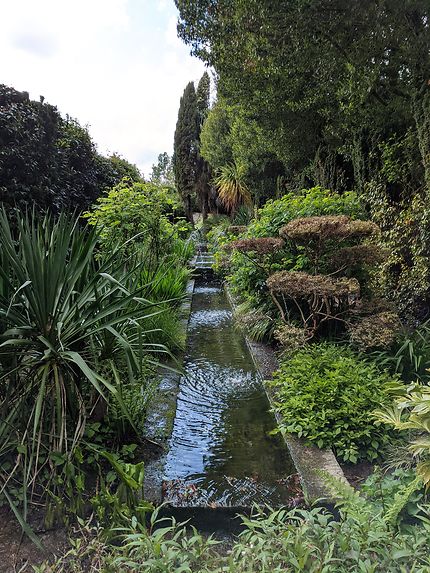 Joli bassin (jardin de Haute Bretagne)