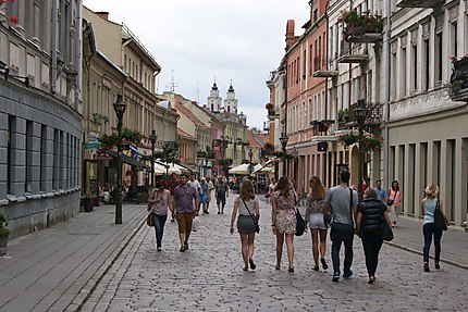 Vilniaus gatvé