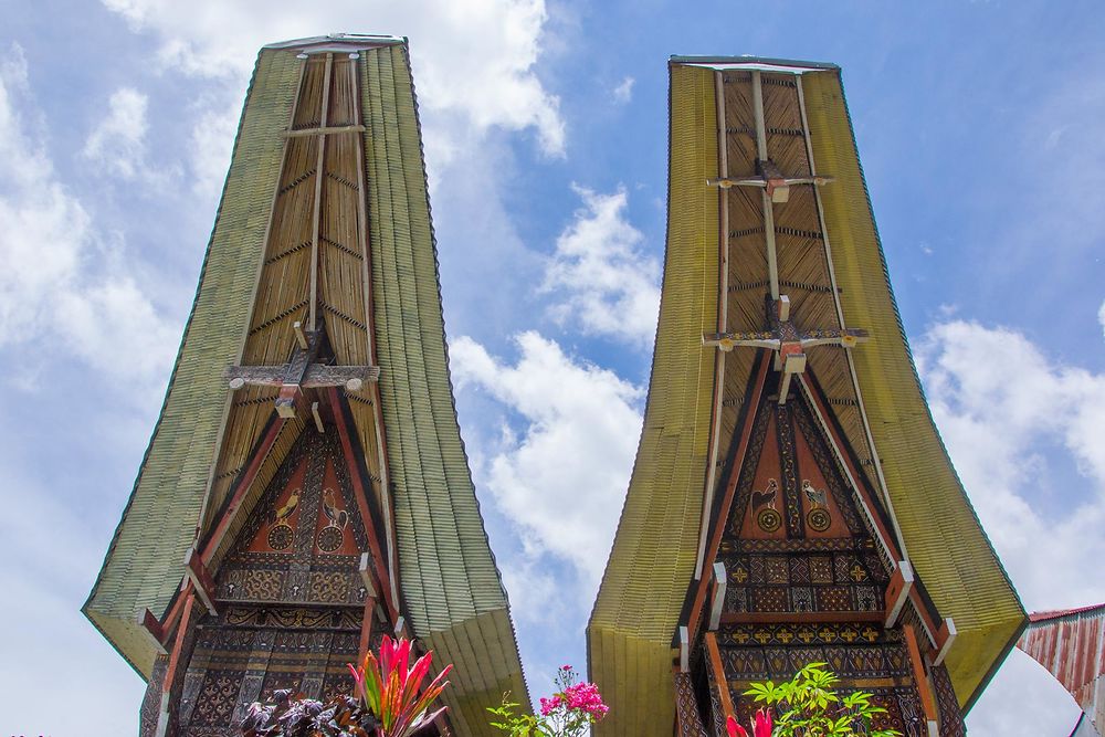 Pays Toraja - Indonesie