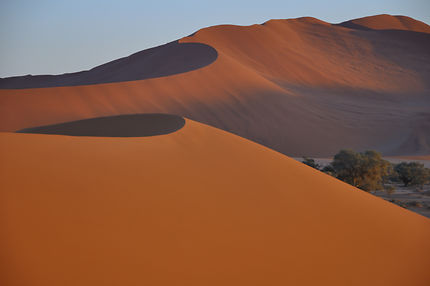 Le plus vieux désert du Monde