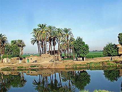 Sur les rives du Nil