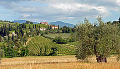 La Toscane, en terre de Sienne