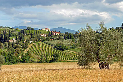 La Toscane, en terre de Sienne