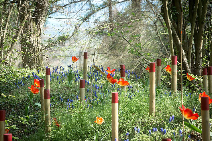 Chemin des Dames dans l’Aisne : les jardins italien, allemand, marocain et danois