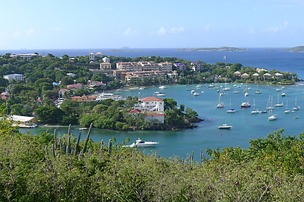Cruz Bay