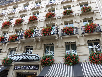 Grand hôtel tout fleuri, Paris