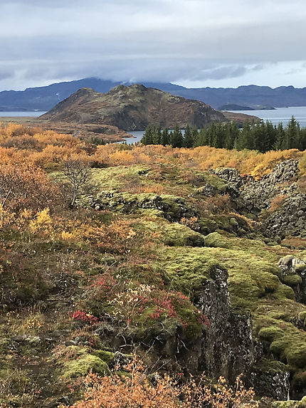 Thingvellir