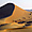 Les dunes d'Al Ain