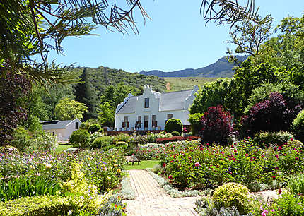 Province du Cap : l’Afrique du Sud, côté jardin
