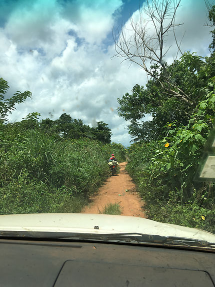 Route de Carnot en République centrafricaine