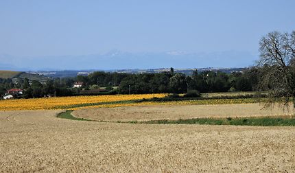 Beaumont sur Lèze