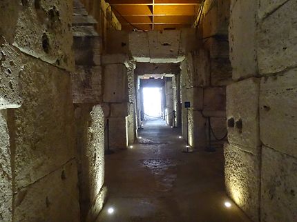 I sotterranei del Colosseo