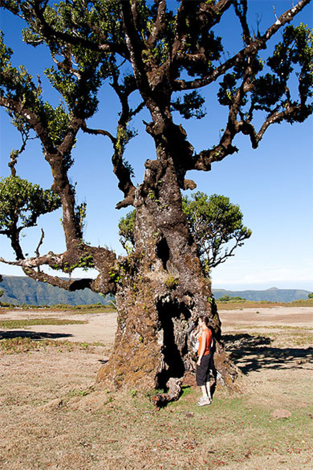 Plaine près de Fanal