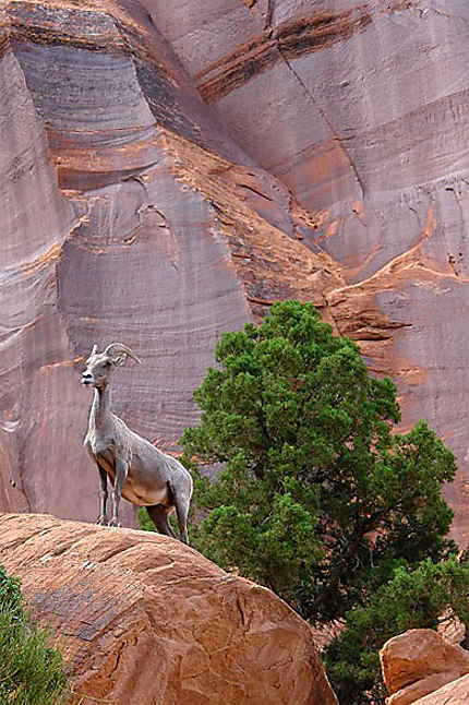 Monument canyon