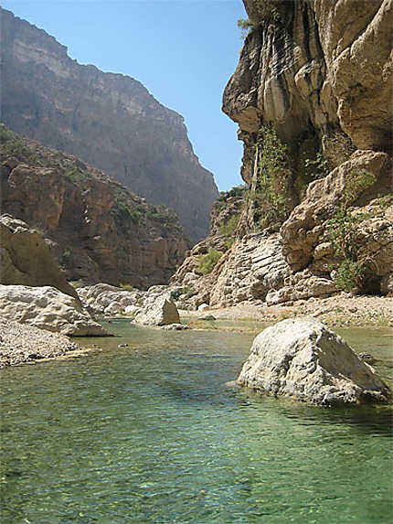 Canyon et oasis d'Oman