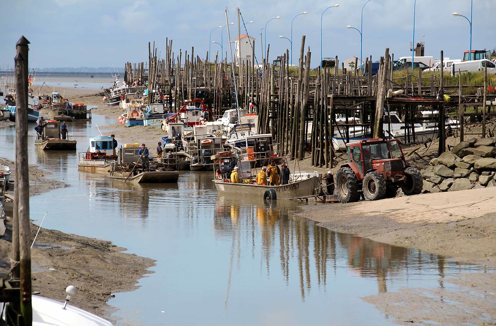 Retour de pêche port du Bec