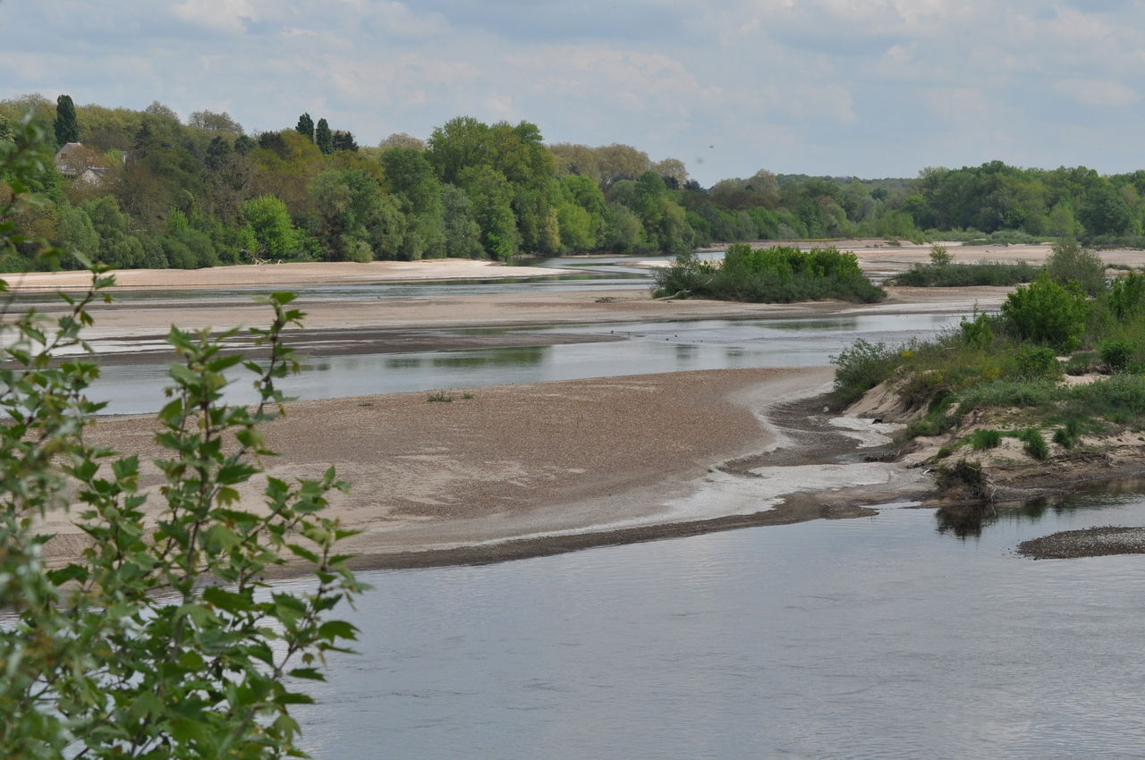 La Loire à Pouilly-sur-Loire
