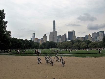 Bataille d'eau généralisée à Central Park