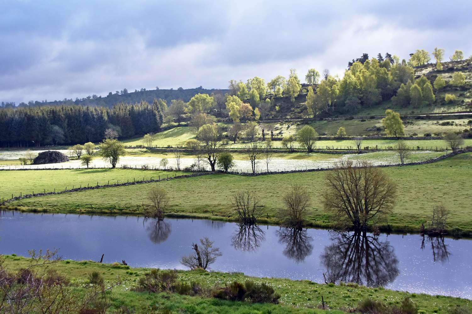 Aubrac Aubrac