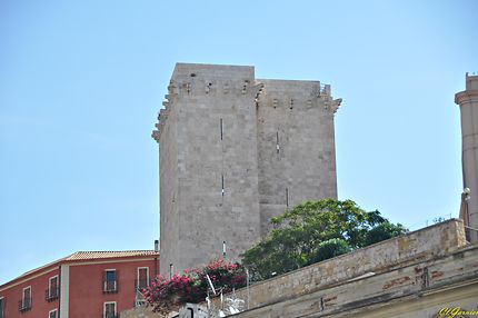Torre Dell'Elefante