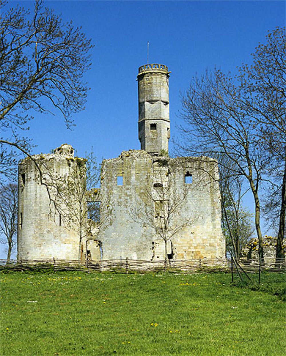 Vestiges du château, Folleville