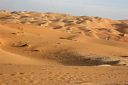Le désert de Liwa (E.A.U)