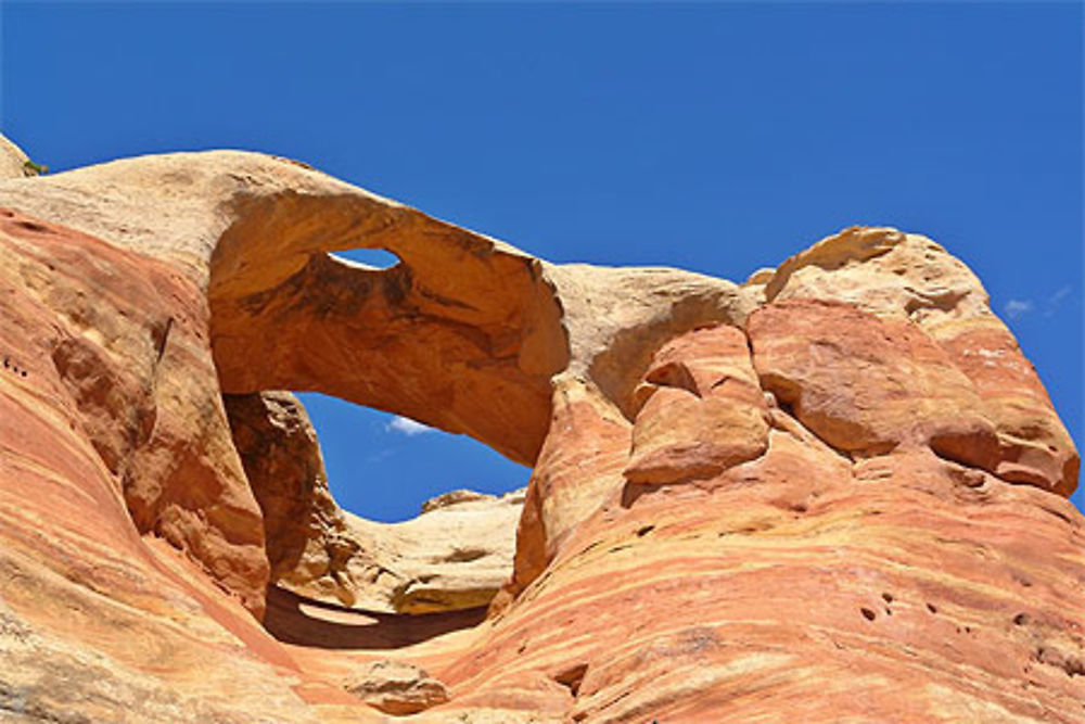 Rattlesnake arches