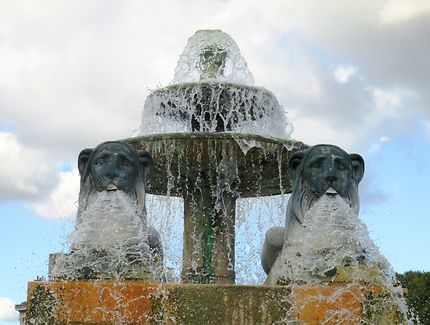 La Fontaine aux lions 