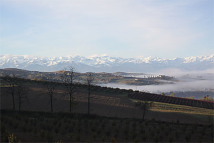 Dogliani sous la brume