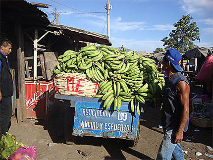 Bananes dans le marché de Masaya
